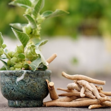  Ashwagandha: A Powerful Ayurvedic Medicine and Its Benefits