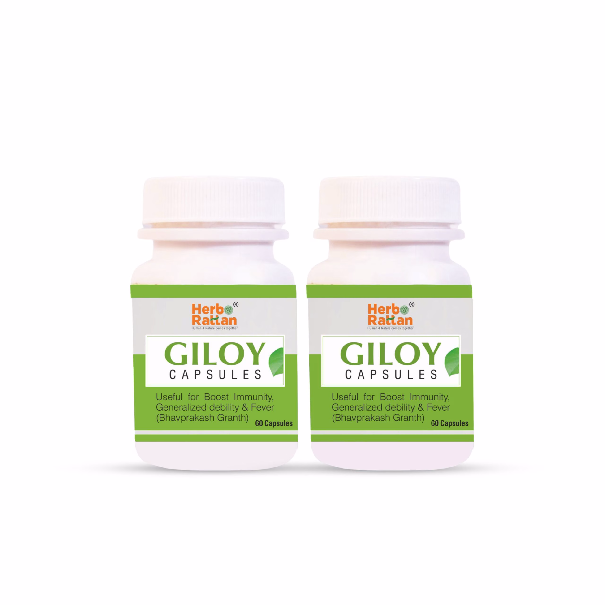 Pack of 2 Herbo Rattan Giloy Capsules for Immune Support