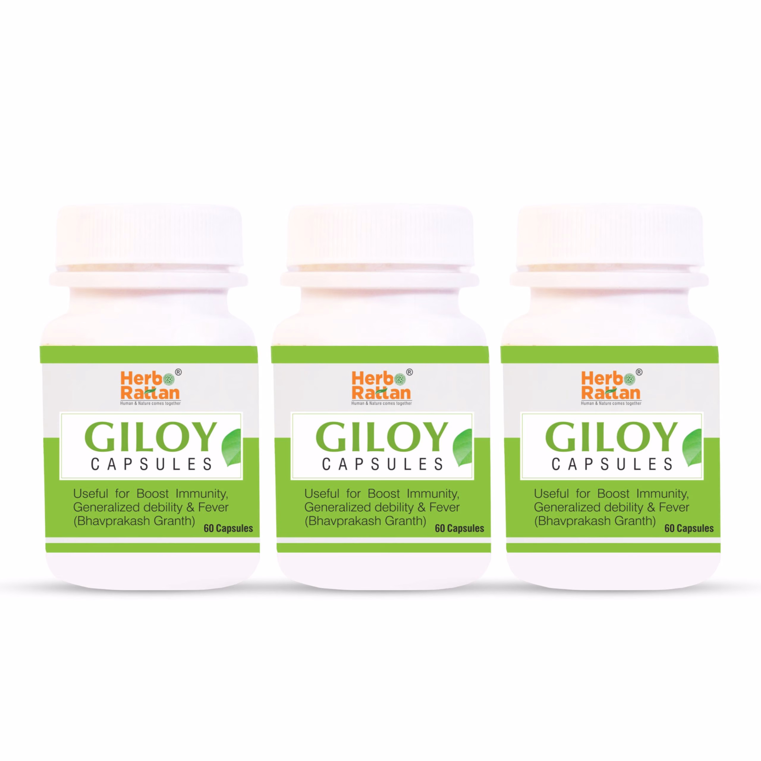 Three-pack of Herbo Rattan Giloy Capsules for Immune Health