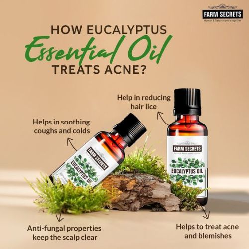 Farm Secrets Eucalyptus Oil -15ml (Pack of 2)