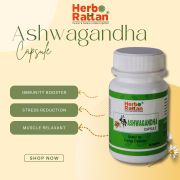 Herbo Rattan Ashwagandha Capsule – 60 Capsules (Pack of 3)