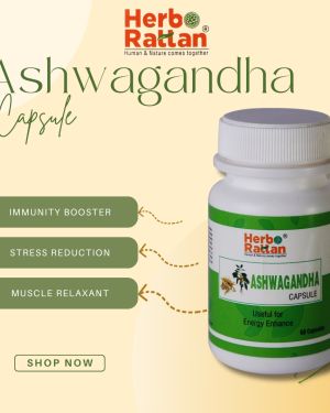 Herbo Rattan Ashwagandha Capsule – 60 Capsules (Pack of 3)