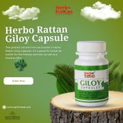 Herbo Rattan Giloy Capsule – 60 capsules