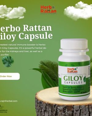 Herbo Rattan Giloy Capsule – 60 capsules