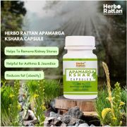 Herbo Rattan Apamarga Kshara Capsule – 60 Capsules