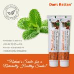 Dant Rattan Herbal Toothpaste Pack of 2 – Ayurvedic Gum Care