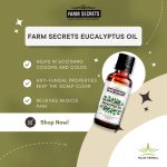 Farm Secrets Eucalyptus Oil 15ml (Pack of 2) – Pure Essential Oil