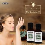 Farm Secrets Eucalyptus Oil 15ml (Pack of 3) – Pure Aromatherapy Essential Oil