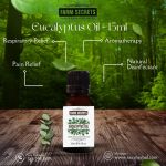 Farm Secrets Eucalyptus Oil 15ml (Pack of 3) – Pure Aromatherapy Essential Oil