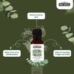 Farm Secrets Eucalyptus Oil 15ml (Pack of 3) – Pure Aromatherapy Essential Oil