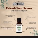 Farm Secrets Eucalyptus Oil 15ml – Pure Herbal Extract