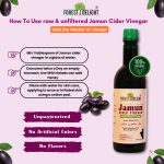 Forest Delight Jamun Cider Vinegar – Pack of 2 for Balanced Health