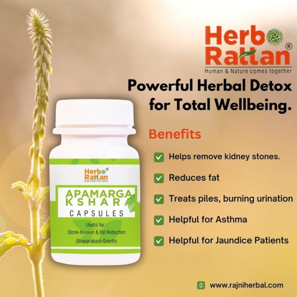 Herbo Rattan Apamarga Kshara Capsules 60 – Promotes Digestive Health and Detoxification