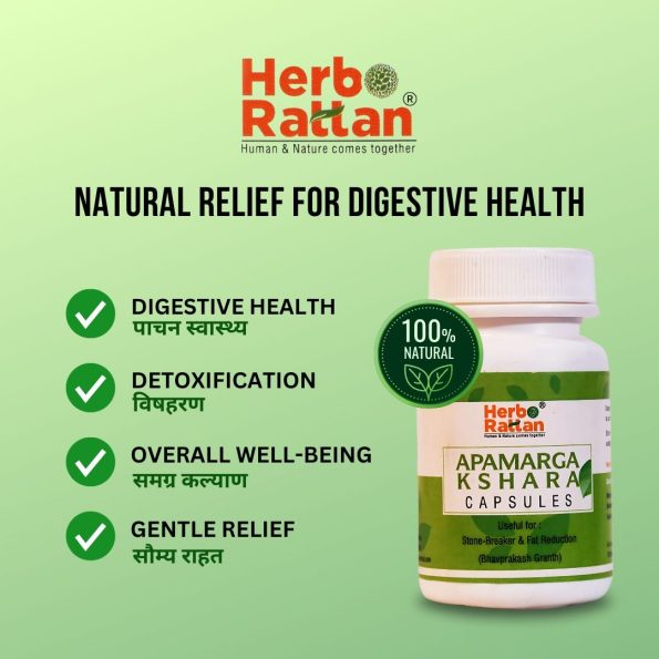 Herbo Rattan Apamarga Kshara Capsules 60 – Promotes Digestive Health and Detoxification