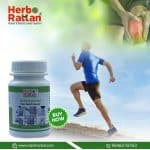 Herbo Rattan Dard Rakshak Pain Relief Capsules 60 Capsules