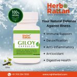 Herbo Rattan Giloy Capsules 60 Capsules