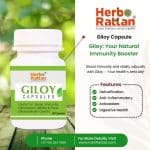 Herbo Rattan Giloy Capsules 60 Capsules