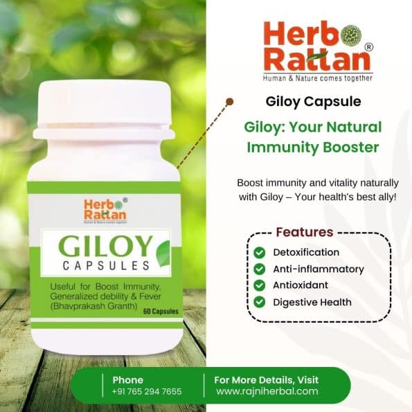 Herbo Rattan Amla Juice 500ml and Giloy Capsule 60 Capsules – Healthy Combination