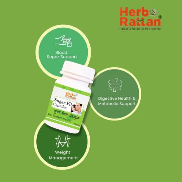 Herbo Rattan Sugar Fit Capsules for Blood Sugar Support