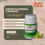 Herbo Rattan Ashwagandha Capsule – 60 Capsules