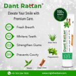 Dant Rattan Premium Herbal Toothpaste – Ayurvedic Whitening Care 100gm