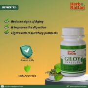 Herbo Rattan Giloy Capsule – 60 capsules (Pack of 3)