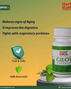 Herbo Rattan Giloy Capsule – 60 capsules (Pack of 3)