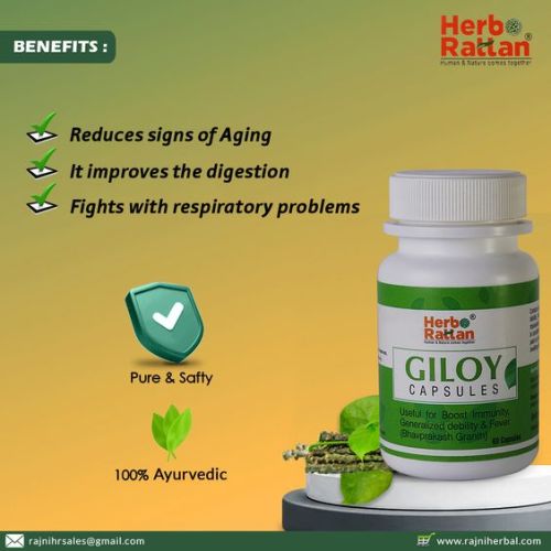 Herbo Rattan Giloy Capsule – 60 capsules (Pack of 3)