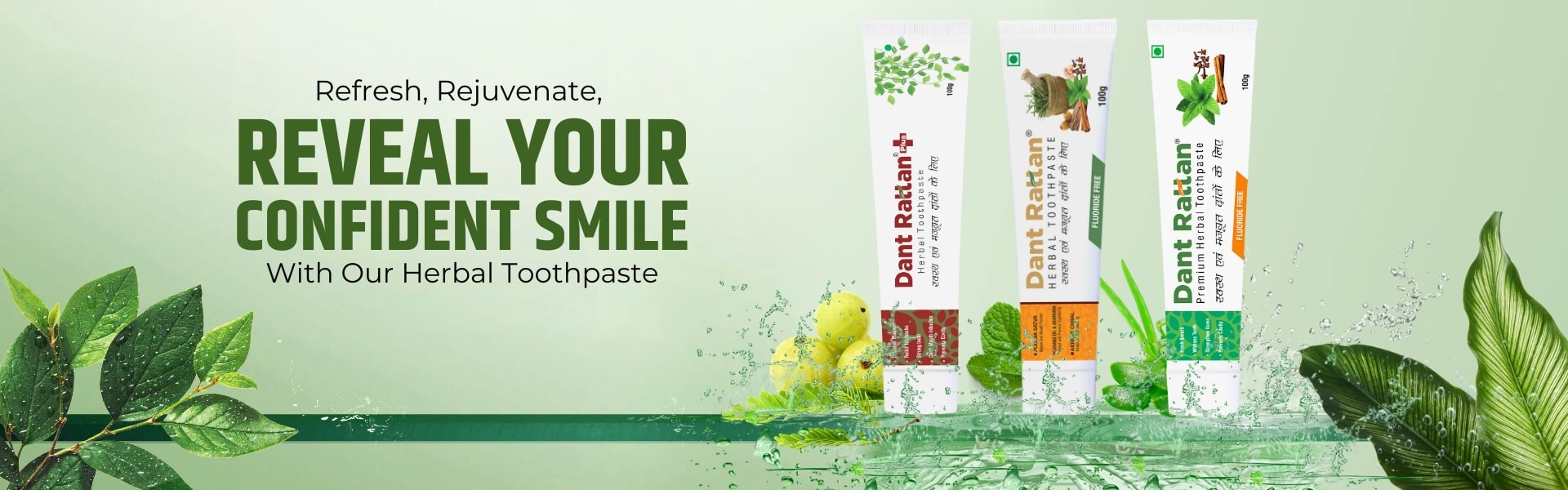 Rajniherbal Dant Rattan Plus Herbal Toothpaste (100gm) + Herbal Toothpaste (100gm) + Premium Herbal Toothpaste (100gm)