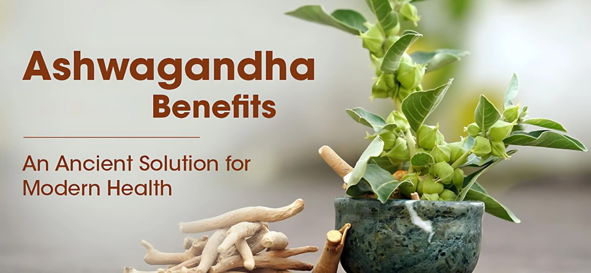 _Ashwagandha A Powerful Ayurvedic Medicine and Its Benefits (1)