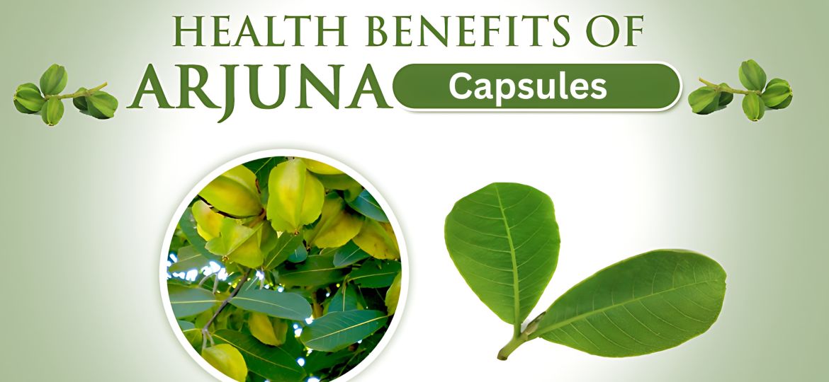 Rajniherbal-Comprehensive Guide to Arjuna Capsules Benefits, Uses, and Varieties