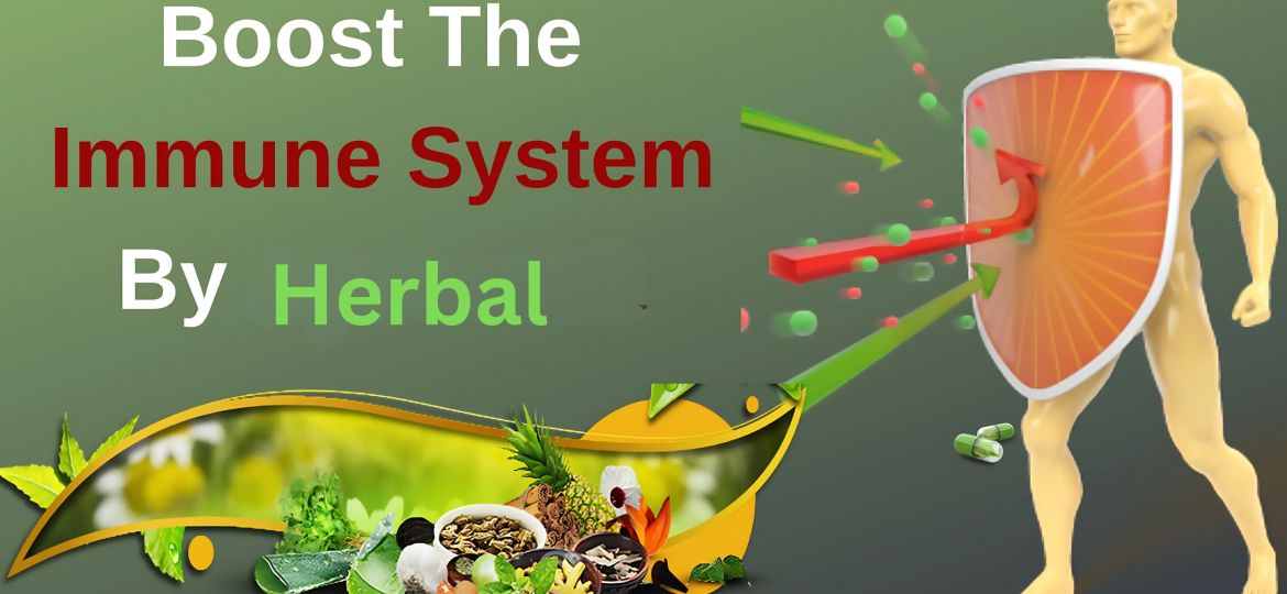 Strengthen Your Immune System Combat Cold, Cough, Allergies, and More