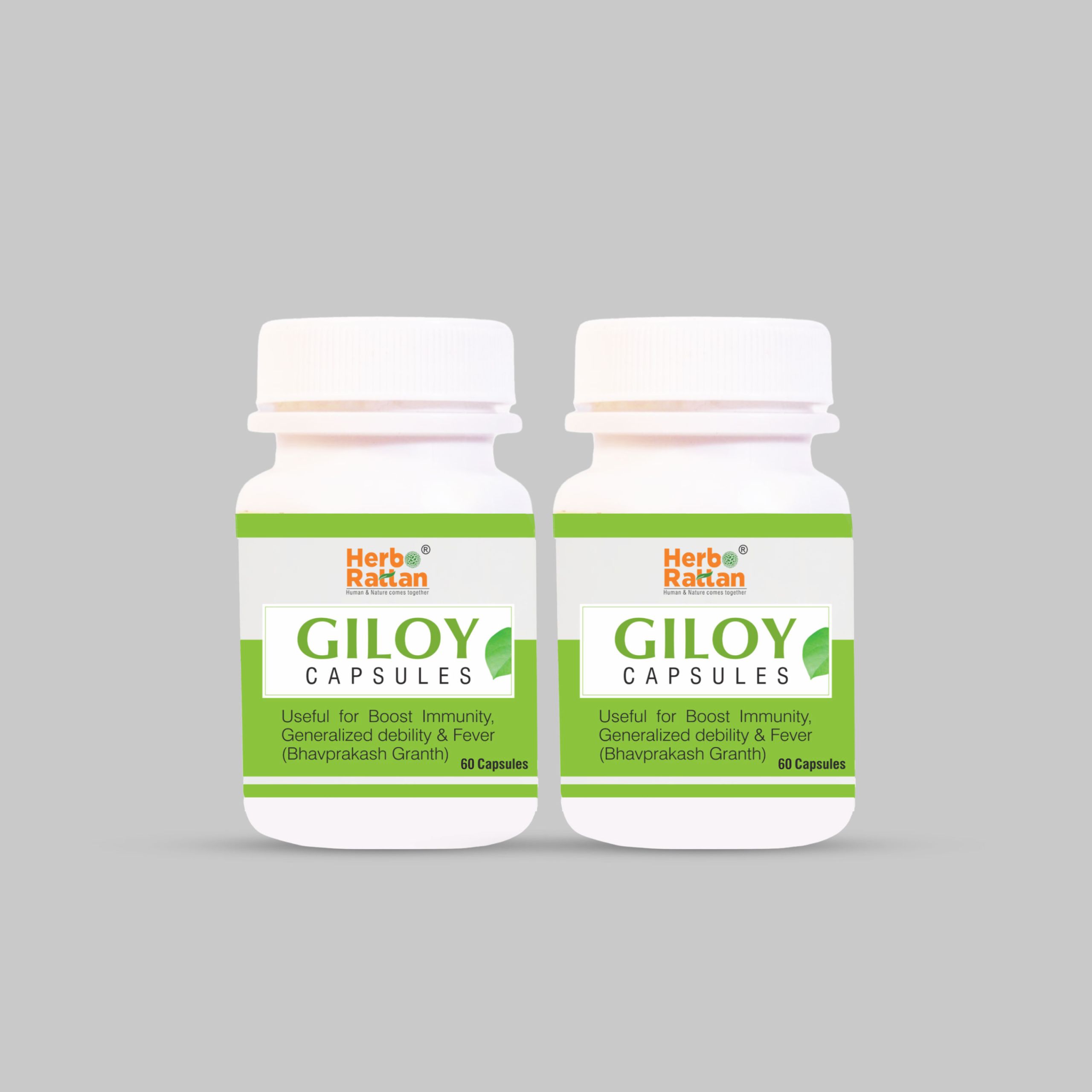 Pack of 2 Herbo Rattan Giloy Capsules for Immune Support